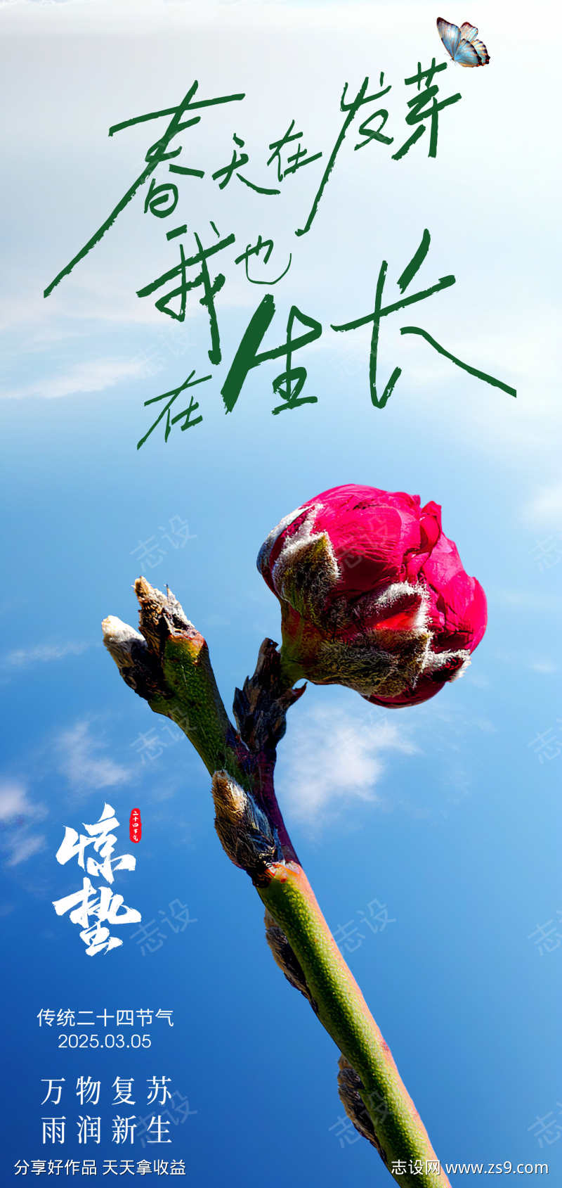 传统24节气惊蛰创意海报