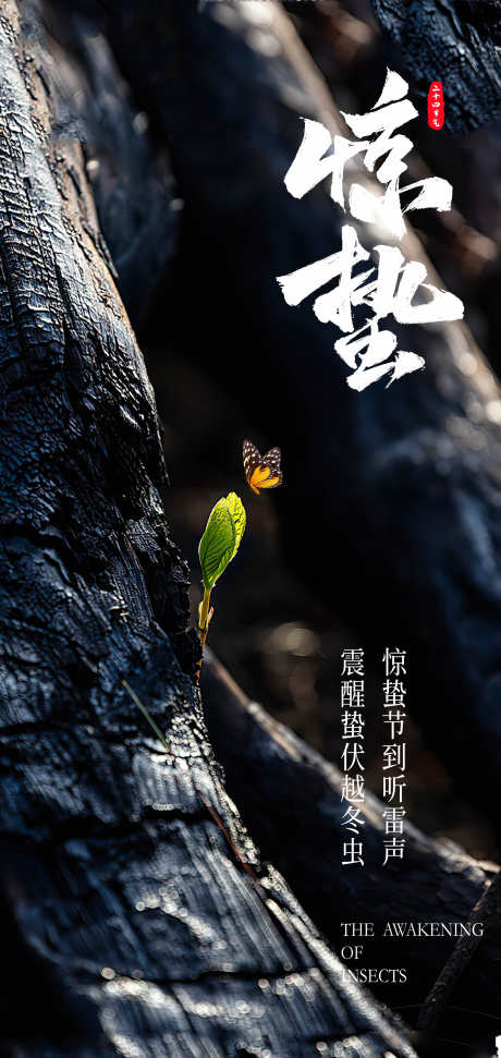 传统24节气惊蛰创意海报_源文件下载_PSD格式_2126X4488像素-春天,新生,新芽-作品编号:2025021711599413-志设-zs9.com