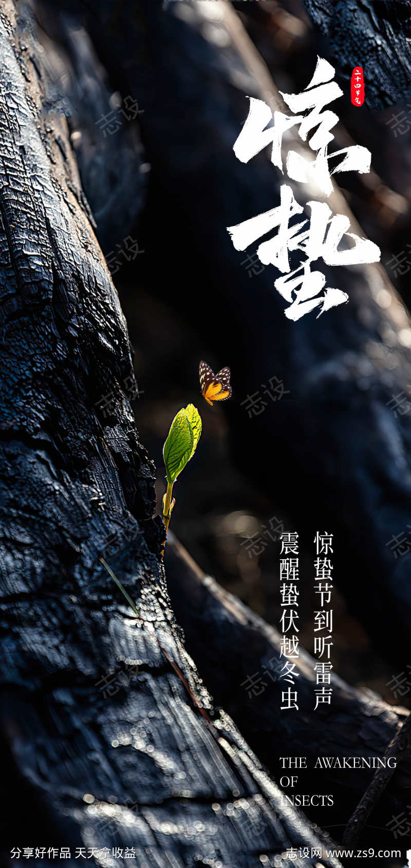 传统24节气惊蛰创意海报