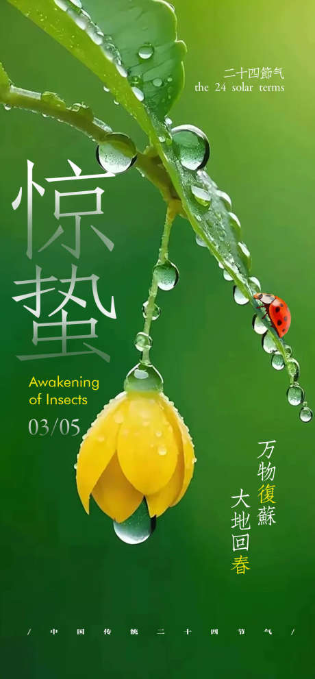 惊蛰节日节气海报_源文件下载_PSD格式_1080X2326像素-露珠,绿色,节气-作品编号:2025021814138487-志设-zs9.com