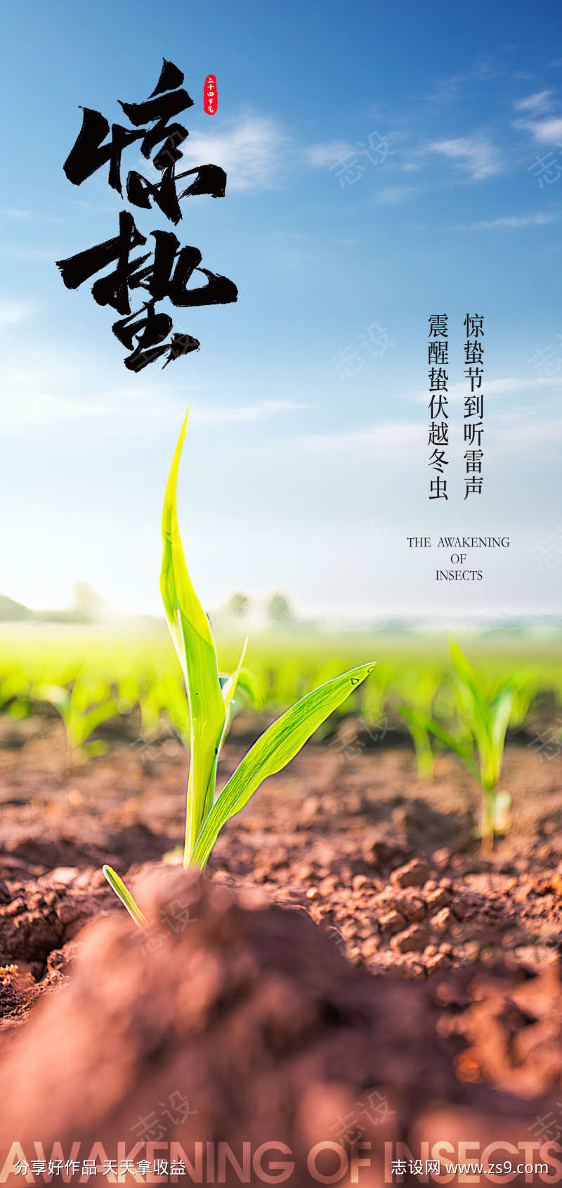 二十四节气惊蛰春分创意海报