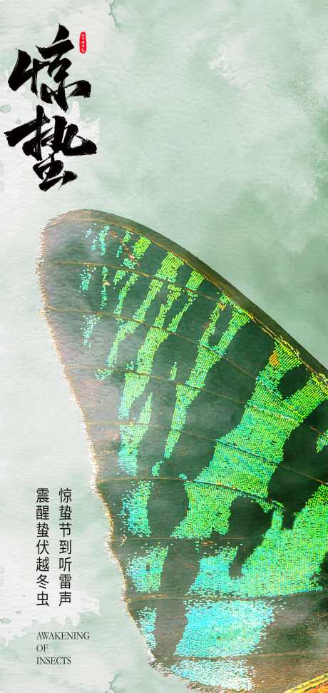 二十四节气惊蛰创意海报_源文件下载_PSD格式_2126X4488像素-春天,新生,节气-作品编号:2025021909292676-志设-zs9.com