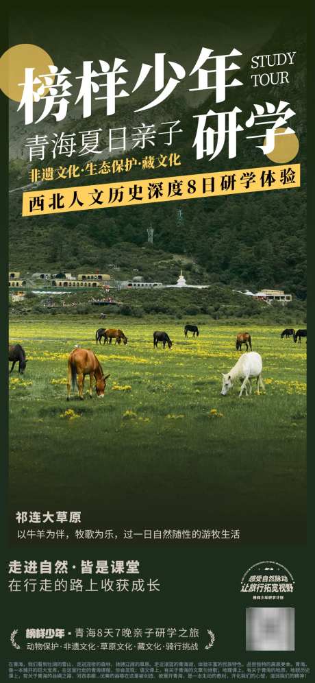榜样少年青海亲子研学旅行_源文件下载_PSD格式_1080X2338像素-旅游,亲子,西北-作品编号:2025022016421311-志设-zs9.com