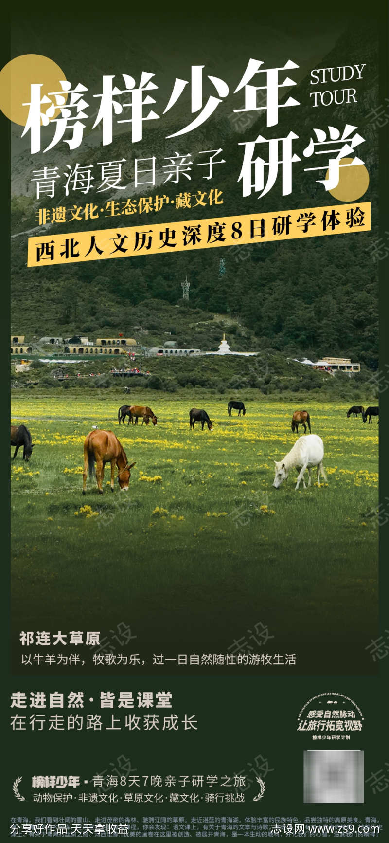 榜样少年青海亲子研学旅行