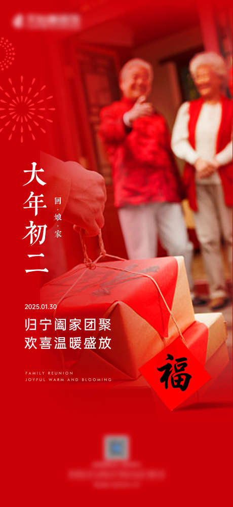 大年初二海报_源文件下载_PSD格式_2756X5990像素-团圆,过年,回娘家-作品编号:2025022017249298-志.设˰网
