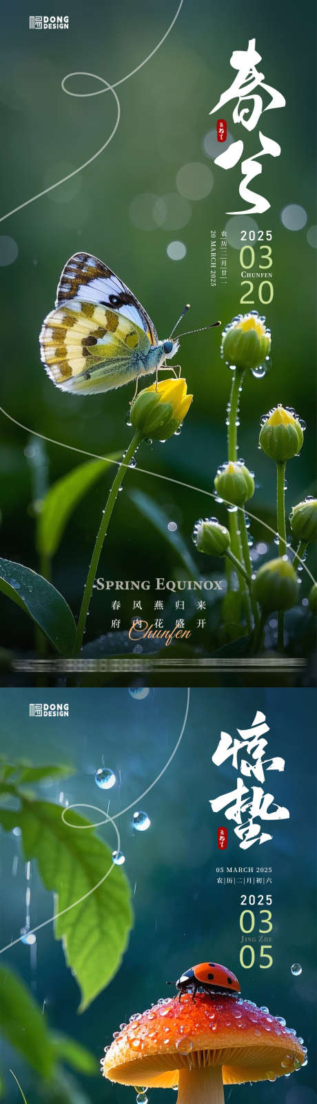 惊蛰春分自然海报_源文件下载_PSD格式_1080X2340像素-自然,花朵,风景-作品编号:2025022111459269-志设-zs9.com
