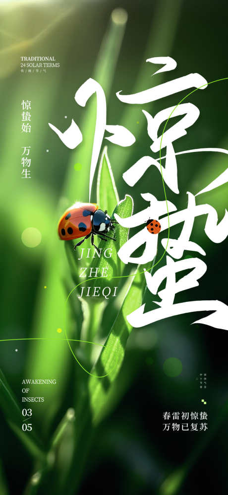 24节气之惊蛰_源文件下载_PSD格式_1080X2340像素-春季,海报,惊蛰-作品编号:2025022410541987-志设-zs9.com