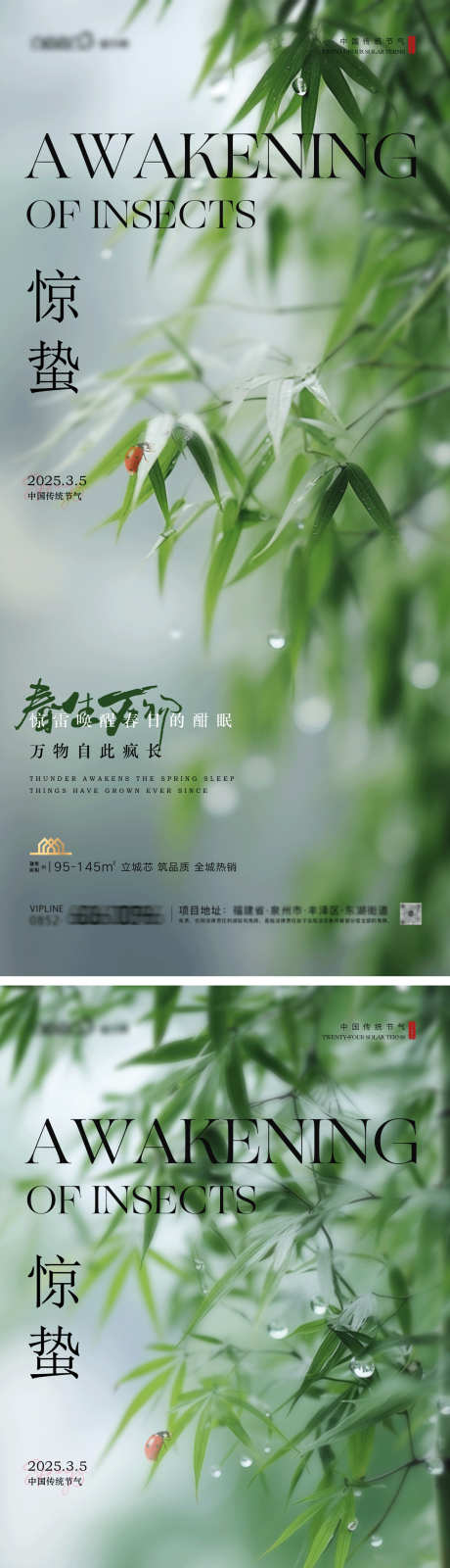 惊蛰系列海报_源文件下载_PSD格式_1231X5355像素-瓢虫,露珠,惊蛰-作品编号:2025022417253434-志设-zs9.com
