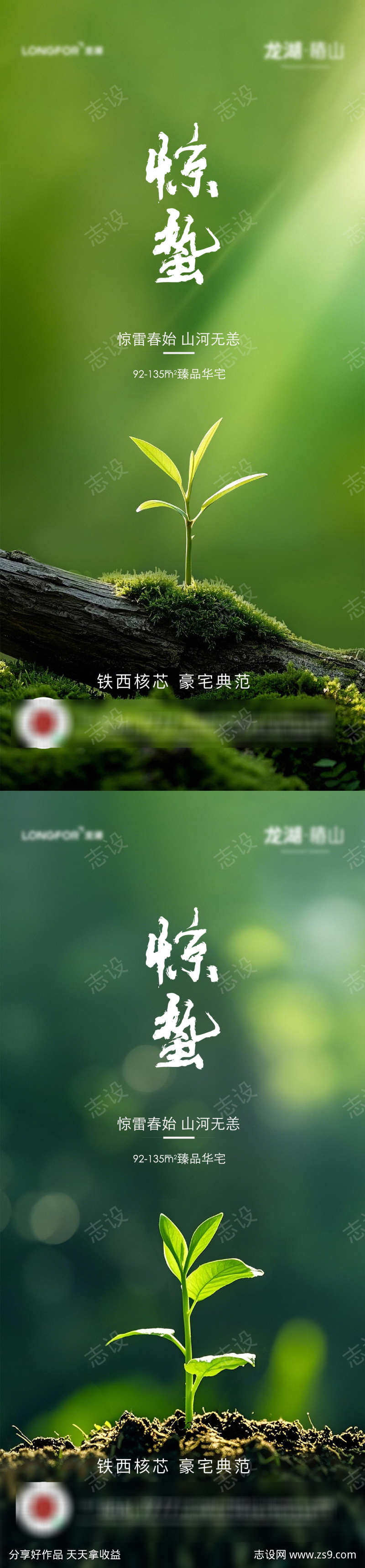 地产节气海报惊蛰