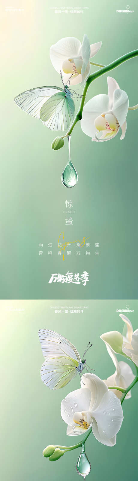 惊蛰蝴蝶兰昆虫摄影简约质感海报_源文件下载_PSD格式_1080X4680像素-简约,清新,意境-作品编号:2025022608464314-志设-zs9.com