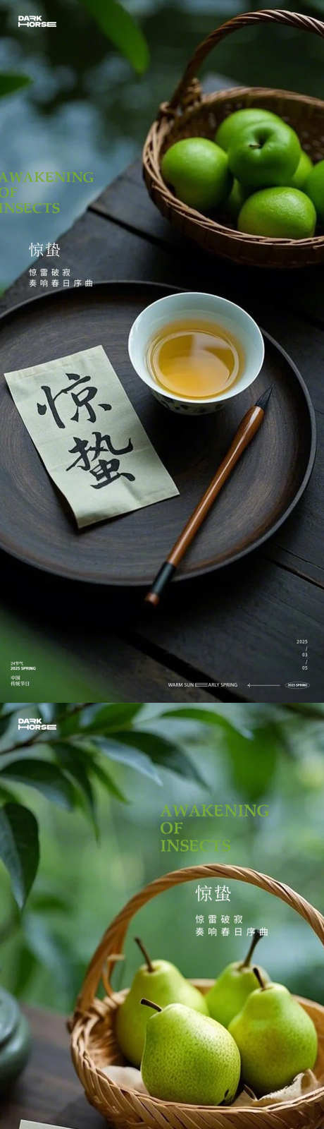 惊蛰春天节气24节气海报_源文件下载_PSD格式_1063X4604像素-唯美,插画,意境-作品编号:2025022709041309-志设-zs9.com