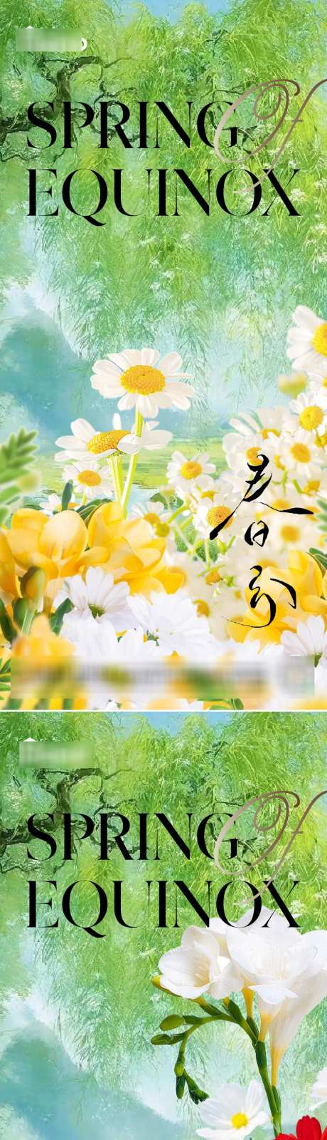 春分节气海报_源文件下载_PSD格式_1080X4684像素-插画,鲜花,春天-作品编号:2025022611332604-志设-zs9.com