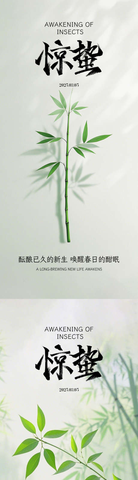惊蛰节气海报系列_源文件下载_PSD格式_1080X2340像素-清新,竹子,春天-作品编号:2025022611479828-志设-zs9.com