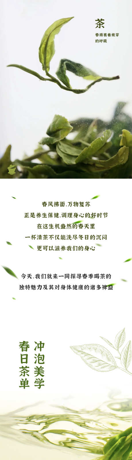 春水煎茶香_源文件下载_PSD格式_1125X14386像素-绿色,净水器,健康-作品编号:2025022615281849-志设-zs9.com