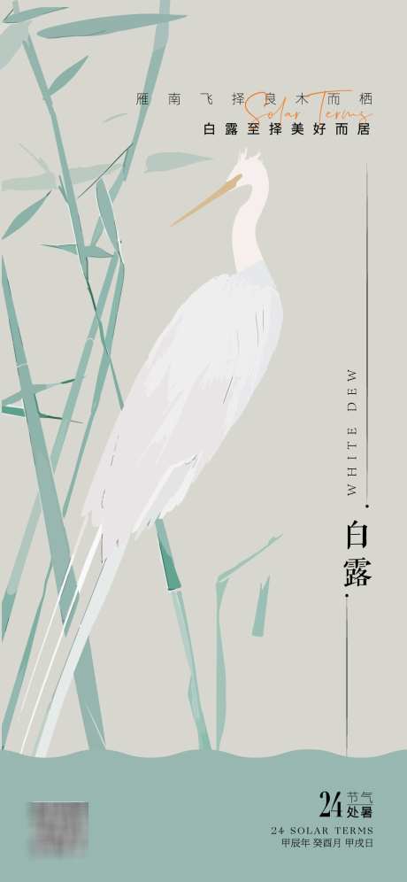 白露节气海报_源文件下载_AI格式_1125X2436像素-竹子,白鹭,白鹤-作品编号:2025022714332475-志设-zs9.com
