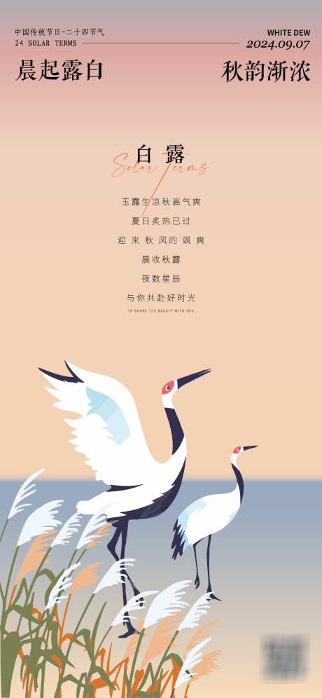 白露节气海报_源文件下载_AI格式_1125X2436像素-中式,芦苇,白鹭-作品编号:2025022714371537-志设-zs9.com
