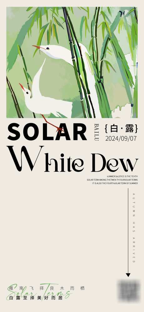 白露节气海报_源文件下载_AI格式_1125X2436像素-中式,芦苇,白鹭-作品编号:2025022714292945-志设-zs9.com