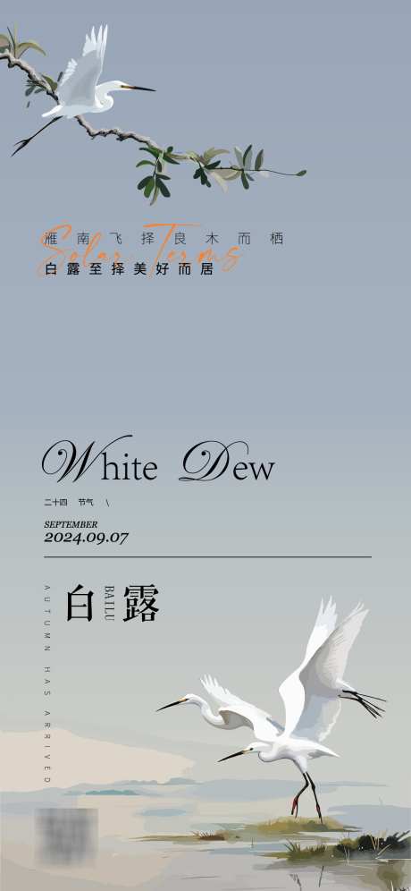 白露节气海报_源文件下载_AI格式_1125X2436像素-中式,芦苇,白鹭-作品编号:2025022714262654-志设-zs9.com