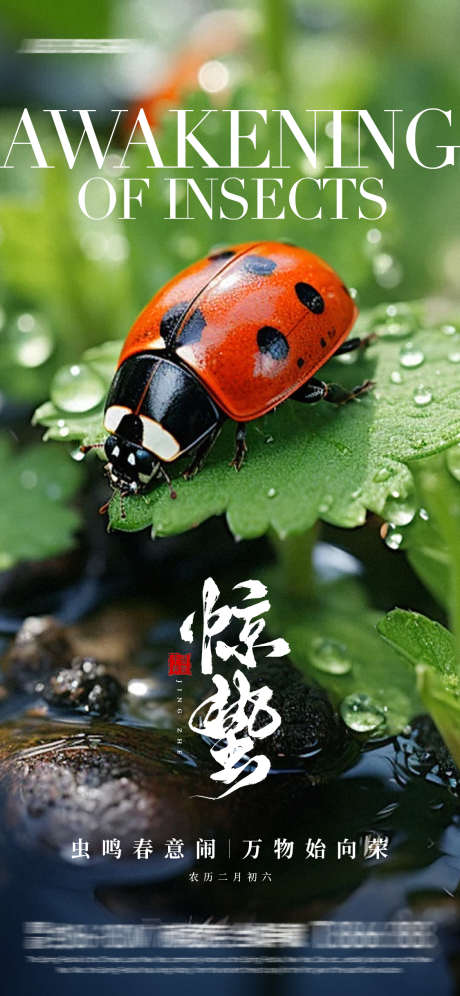 七星瓢虫惊蛰海报_源文件下载_PSD格式_1125X2436像素-节气,清新,地产-作品编号:2025022710432601-志设-zs9.com