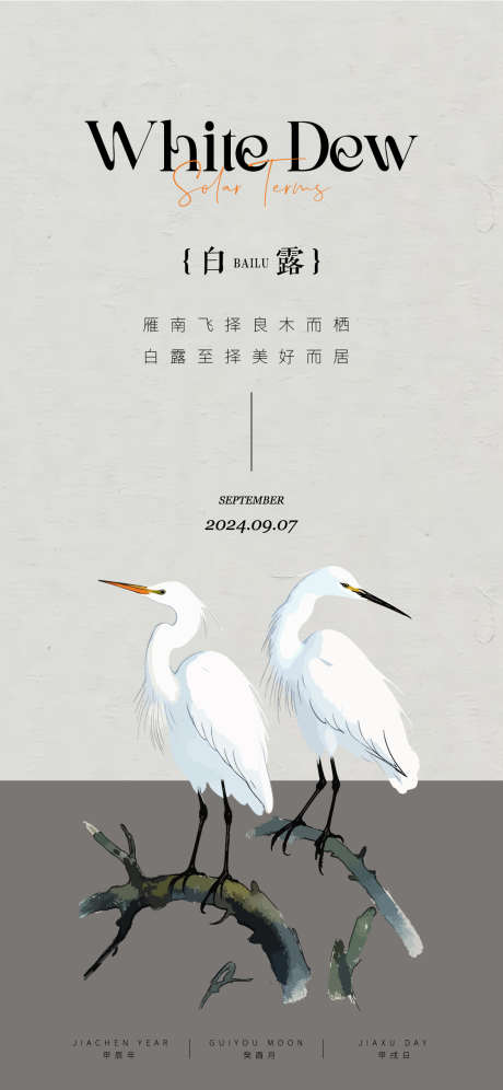 白露节气海报_源文件下载_AI格式_1125X2436像素-中式,芦苇,白鹭-作品编号:2025022714252035-志设-zs9.com