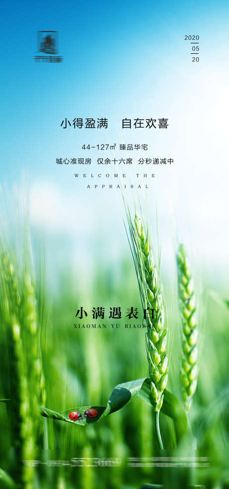 小满表白日_源文件下载_PSD格式_1772X3780像素-小满,节气,地产-作品编号:2025031013115460-志设-zs9.com