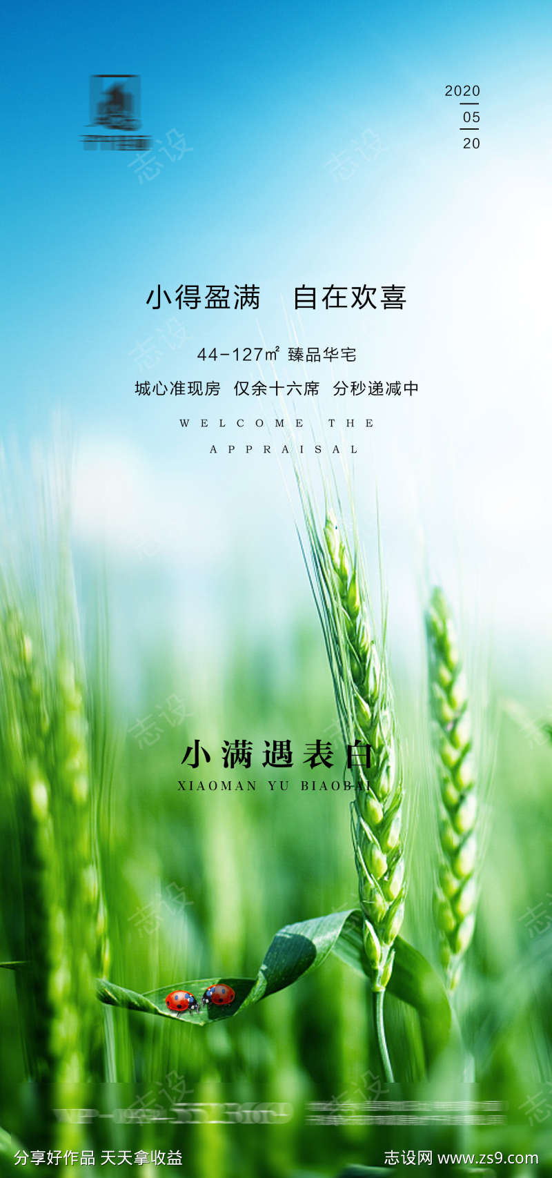 小满表白日