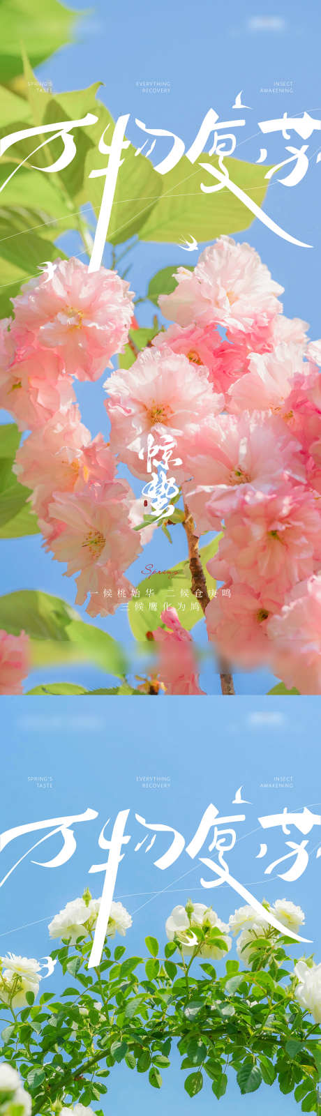惊蛰节气海报_源文件下载_AI格式_1500X6498像素-蓝天,春暖花开,春天-作品编号:2025030212164176-志设-zs9.com