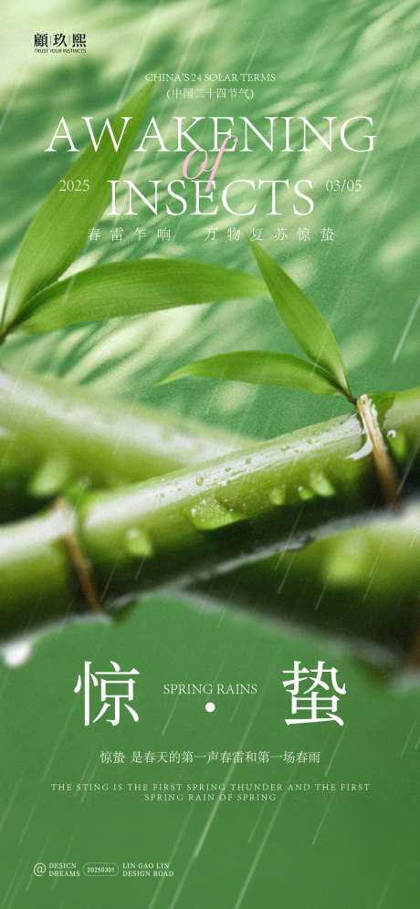 惊蛰节气创意海报_源文件下载_PSD格式_1125X2436像素-海报,春天,惊蛰-作品编号:2025030217309762-志设-zs9.com