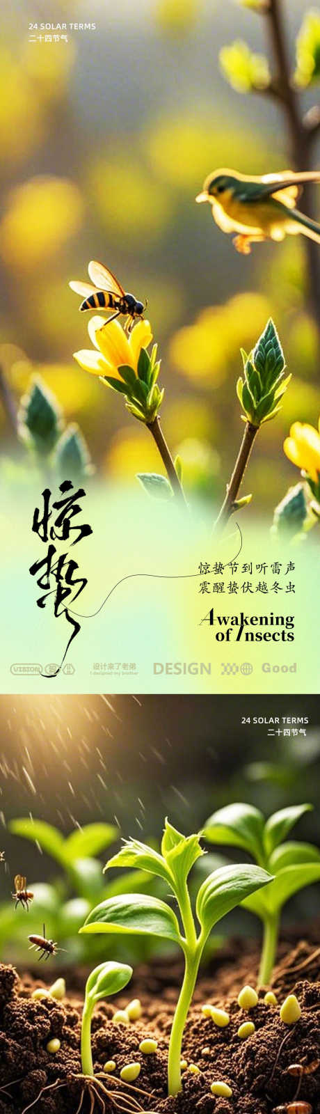 惊蛰摄影海报_源文件下载_PSD格式_1080X4674像素-海报,春季,春天-作品编号:2025030313155435-志设-zs9.com