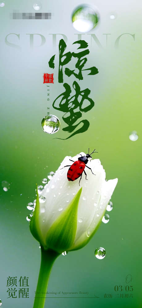 惊蛰春分节气海报_源文件下载_PSD格式_1242X2688像素-美业,医美,二十四节气-作品编号:2025030415405242-志设-zs9.com
