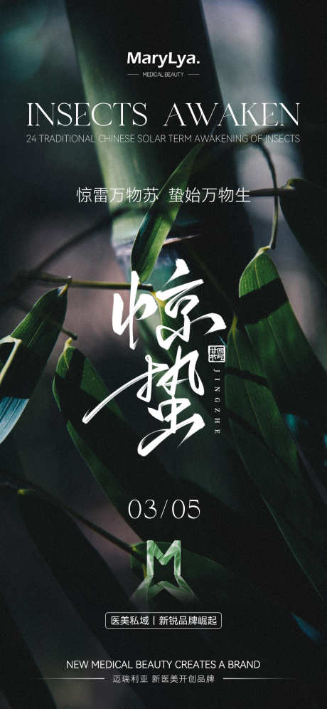 惊蛰节气海报_源文件下载_PSD格式_1242X2688像素-宣发,微信,朋友圈-作品编号:2025030415537892-志设-zs9.com