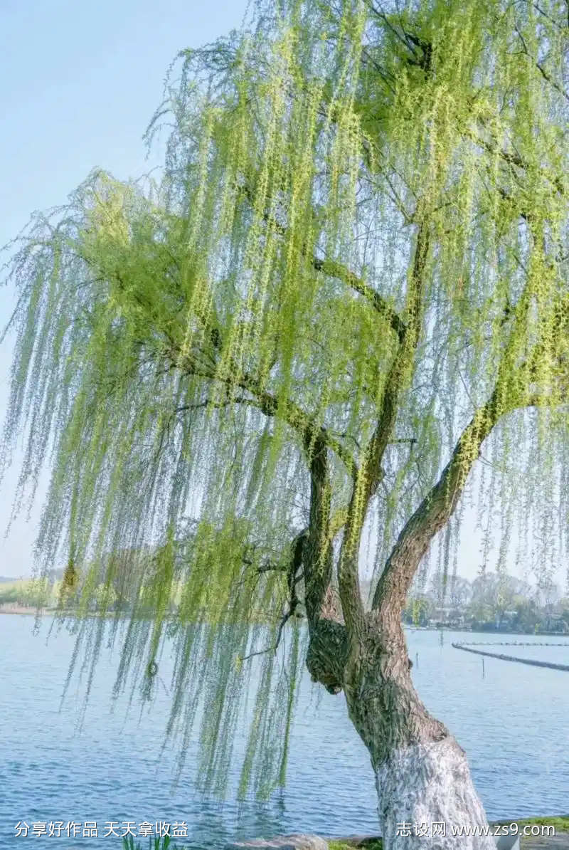 春风吹拂音效
