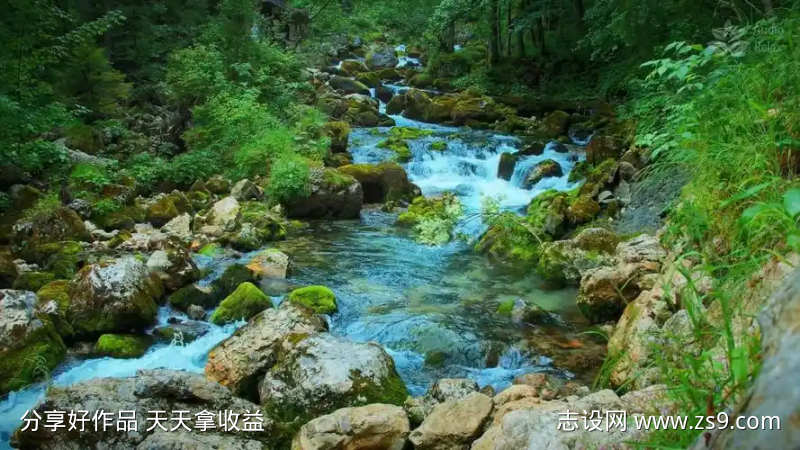 森林溪流水声