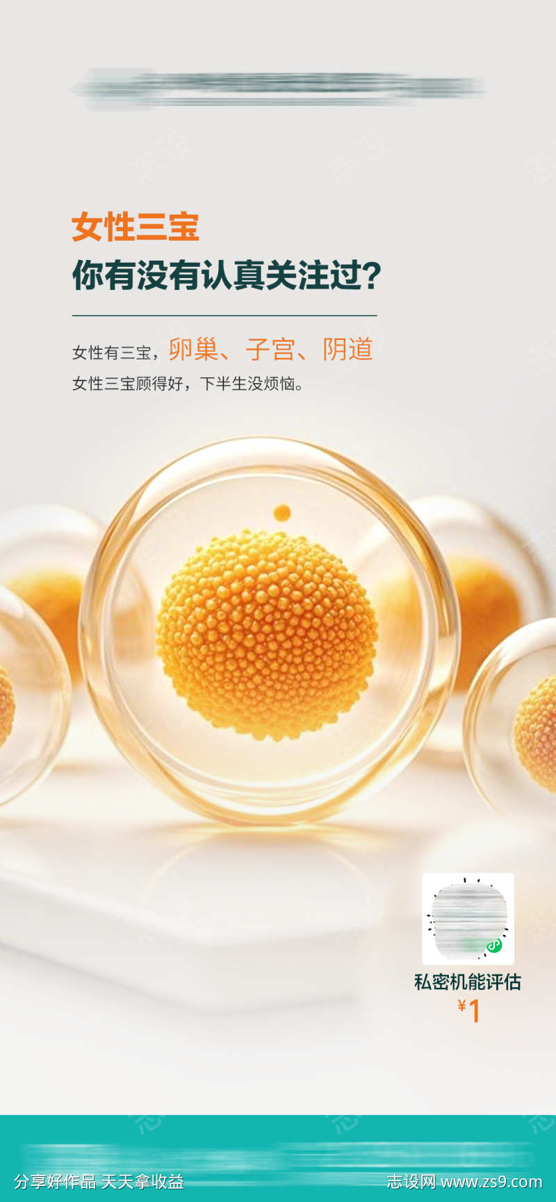 女性三宝卵巢子宫阴道