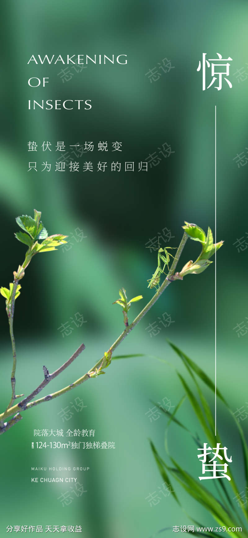 简约质感系列惊蛰