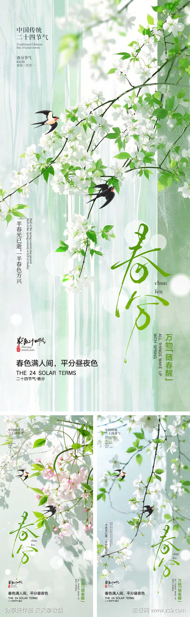 春分节气宣传海报