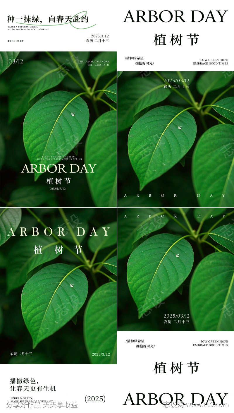 植树节简约朋友圈