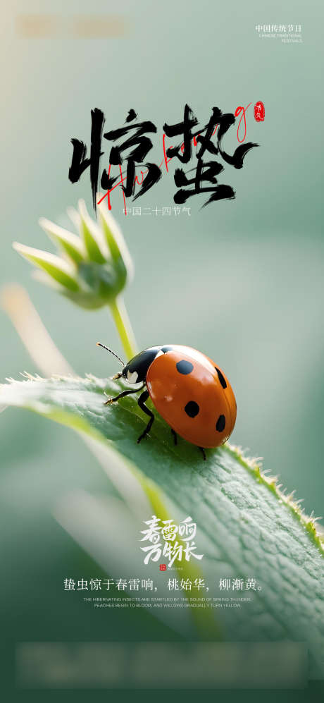 惊蛰节气海报_源文件下载_PSD格式_1080X2340像素-春季,瓢虫,中式-作品编号:2025030515191089-志设-zs9.com