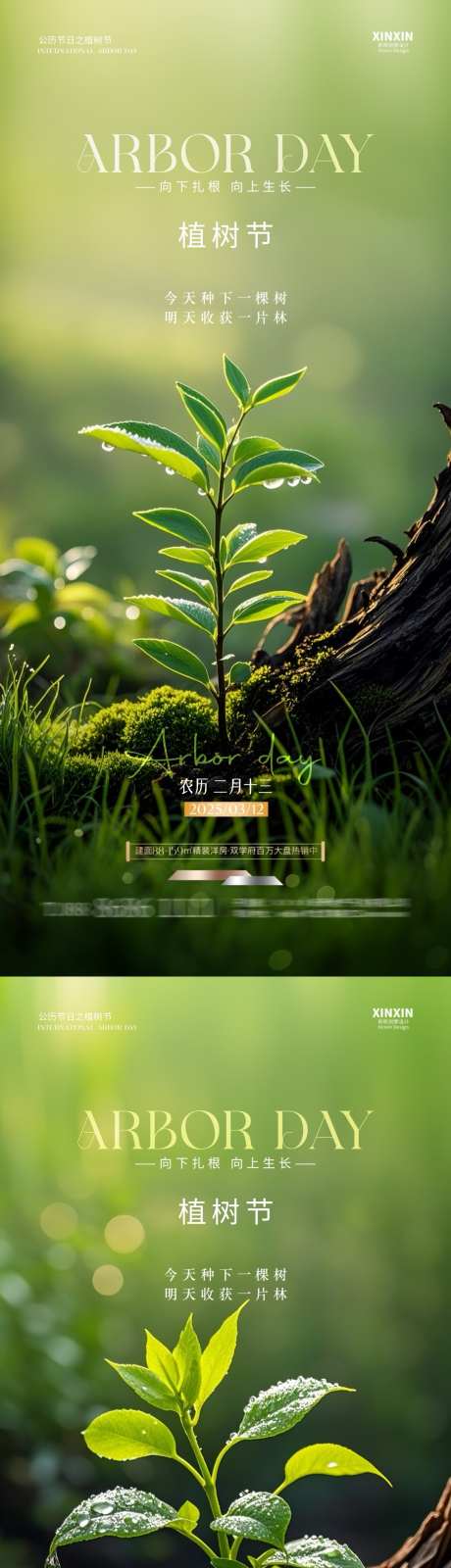 地产植树节树木萌芽海报_源文件下载_PSD格式_1080X4680像素-清新,自然,树苗-作品编号:2025030515227429-志设-zs9.com