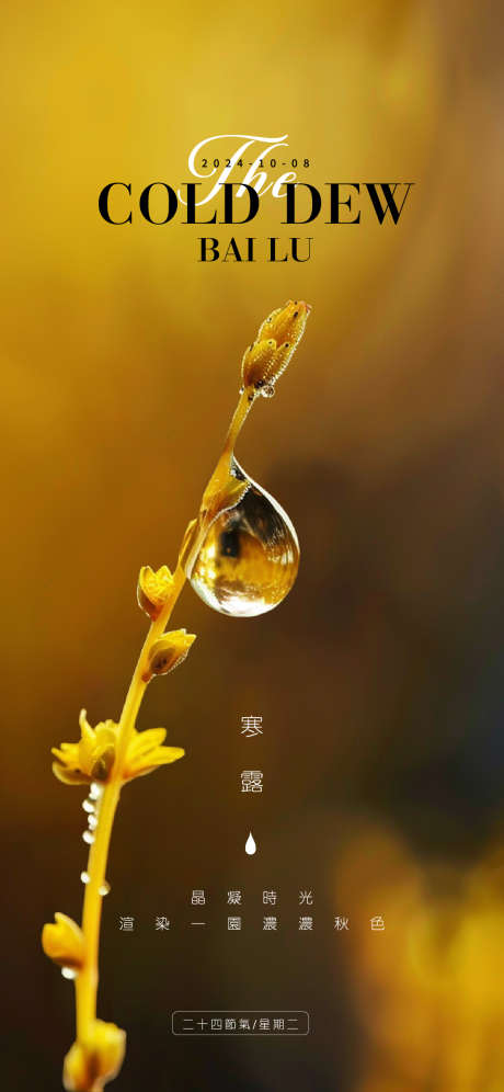 寒露节气海报_源文件下载_AI格式_1125X2436像素-露珠,寒露,二十四节气-作品编号:2025030516276138-志设-zs9.com