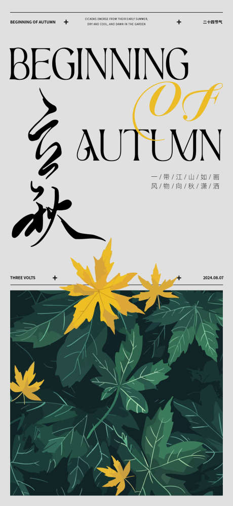 立秋节气海报_源文件下载_AI格式_1125X2436像素-枫叶,立秋,节气-作品编号:2025030516412046-志设-zs9.com
