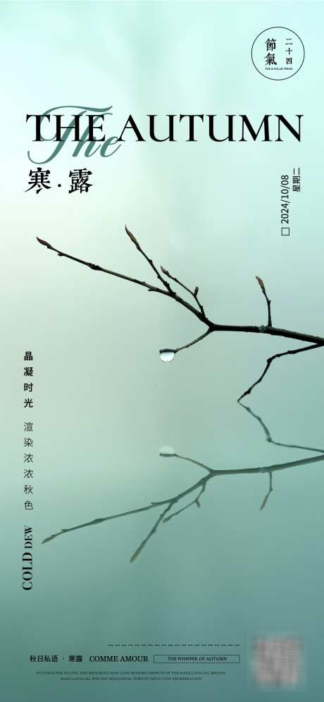 寒露节气海报_源文件下载_AI格式_1125X2436像素-露珠,寒露,节气-作品编号:2025030516216773-志设-zs9.com