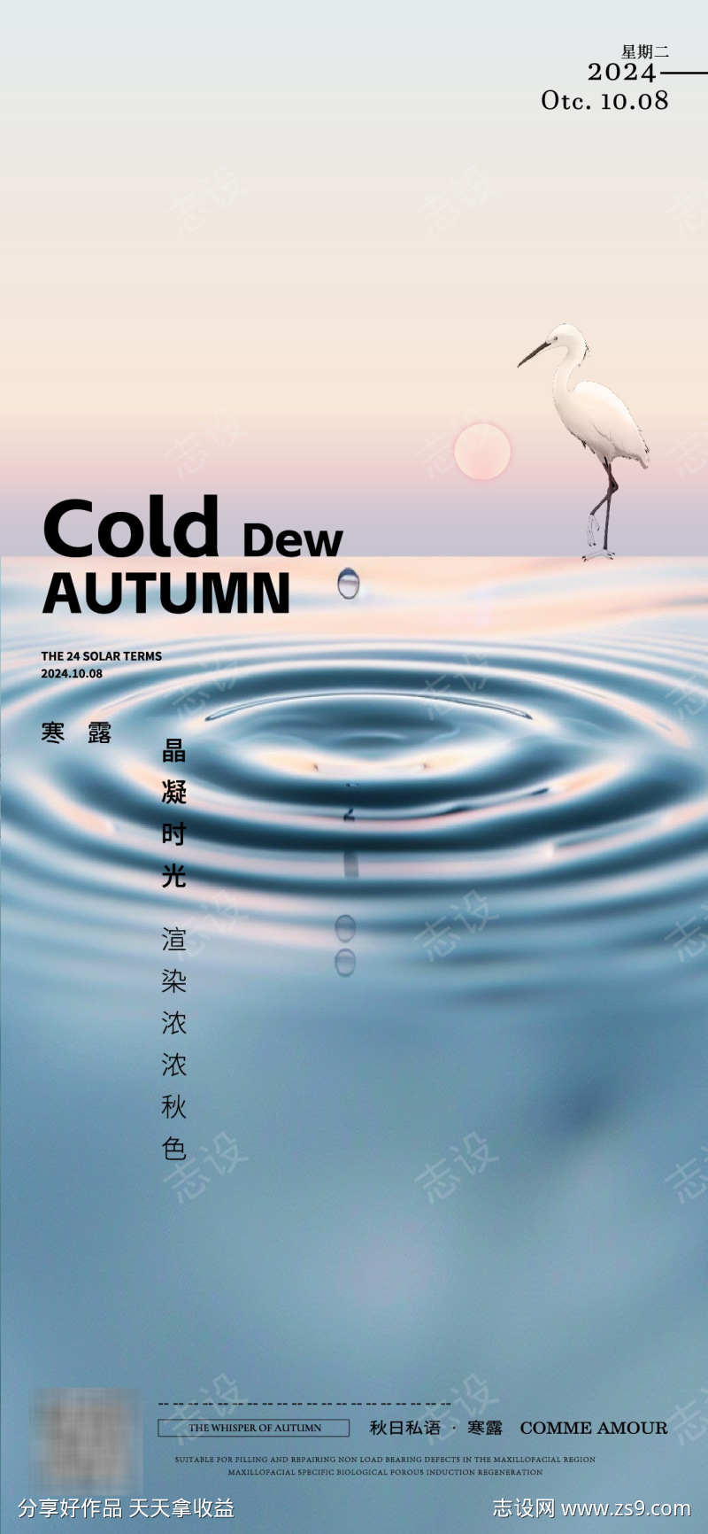 寒露节气海报