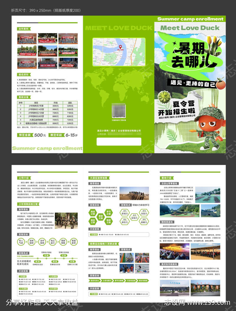 夏令营画册三折页