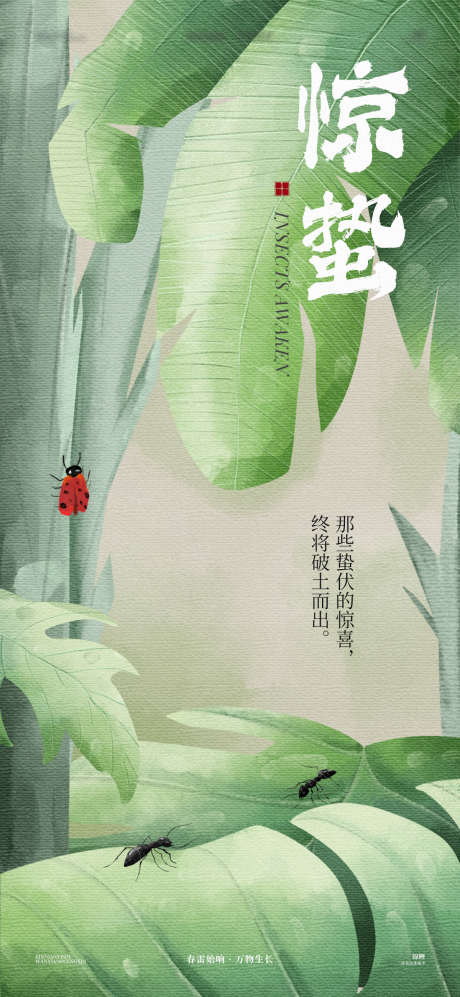 惊蛰植物插画海报_源文件下载_PSD格式_1200X2600像素-植物,昆虫,七星瓢虫-作品编号:2025030709453032-志设-zs9.com