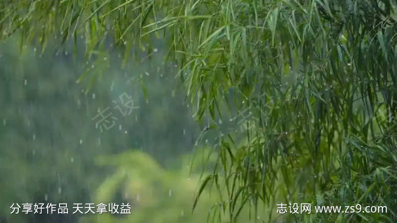 舒适的小雨声