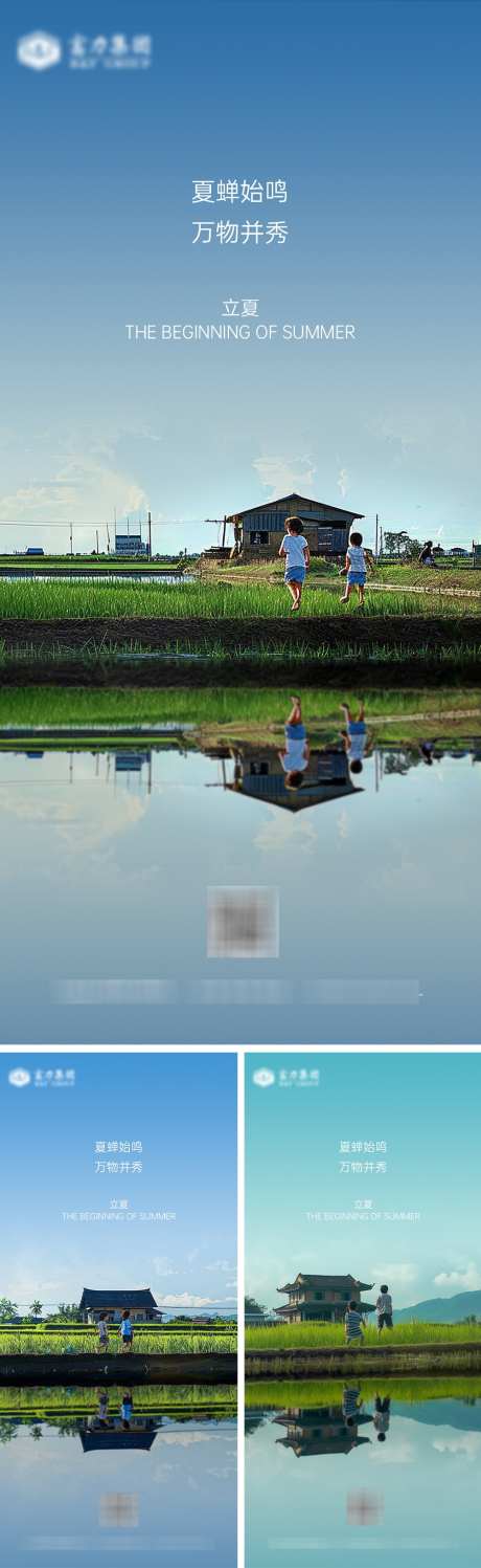 立夏节气海报_源文件下载_PSD格式_1002X3260像素-夏日,植物,系列-作品编号:2025030917289325-志设-zs9.com