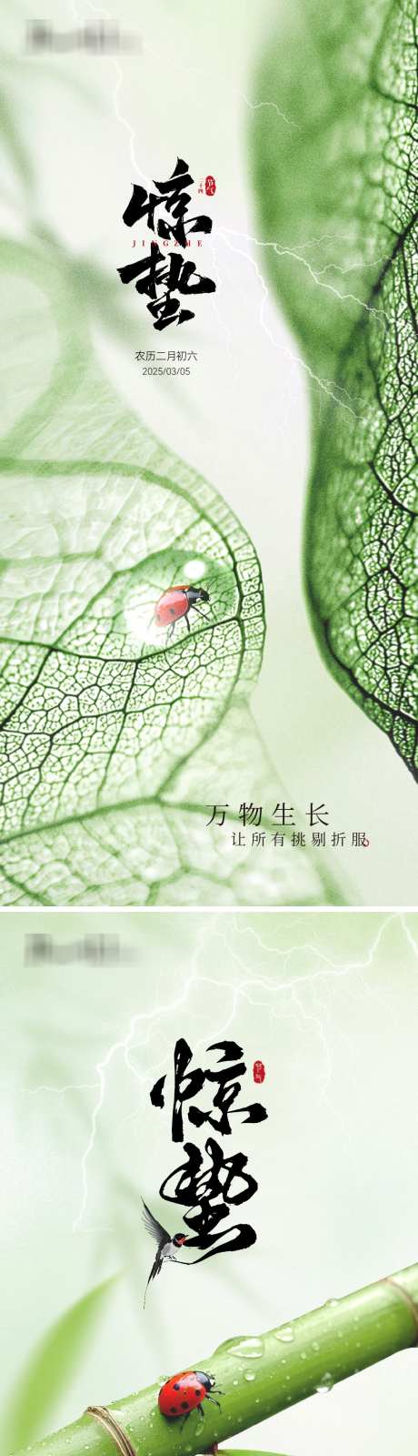惊蛰立春单图_源文件下载_PSD,AI格式_1080X4692像素-竹子,瓢虫,叶脉-作品编号:2025030909052805-志设-zs9.com