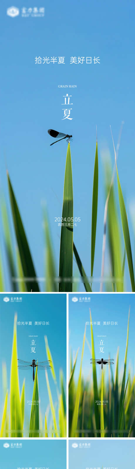 立夏节气海报_源文件下载_PSD格式_1000X4325像素-草地,蓝天,植物-作品编号:2025031016168726-志设-zs9.com