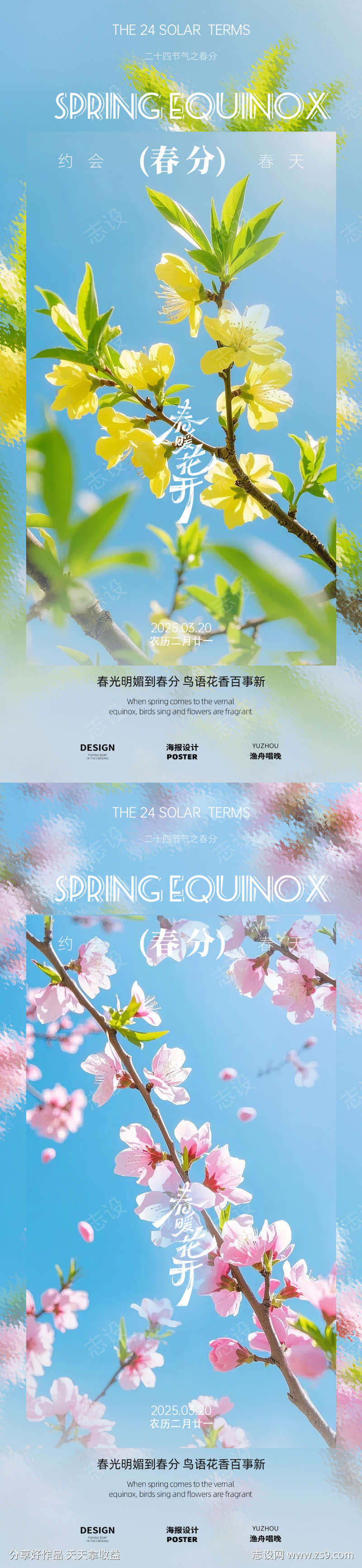 春分花朵海报